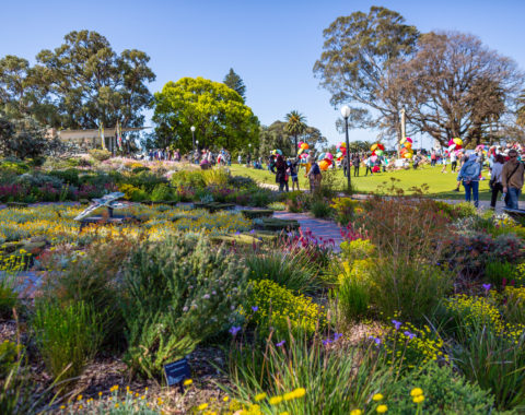 Floral Clock Photo Jason Thomas