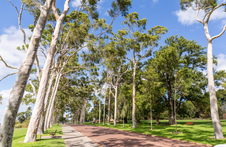 Fraser Avenue by Jason Thomas