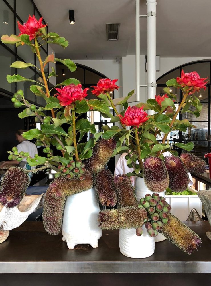 Katie Marx Banksia and Waratah