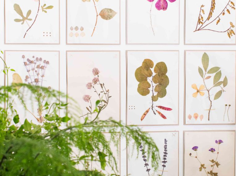 Libby Kerr  botanical print wall at studio of floral artist Fleur McHargimage courtesy The Grace Tales