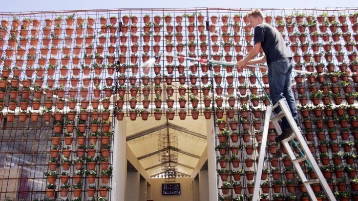 joost bakker watering vertical garden gardenista