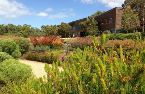 cranbourne building in background
