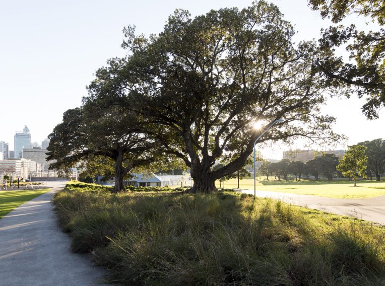 Brett Boardman PAPP view into park from southern end of shareway