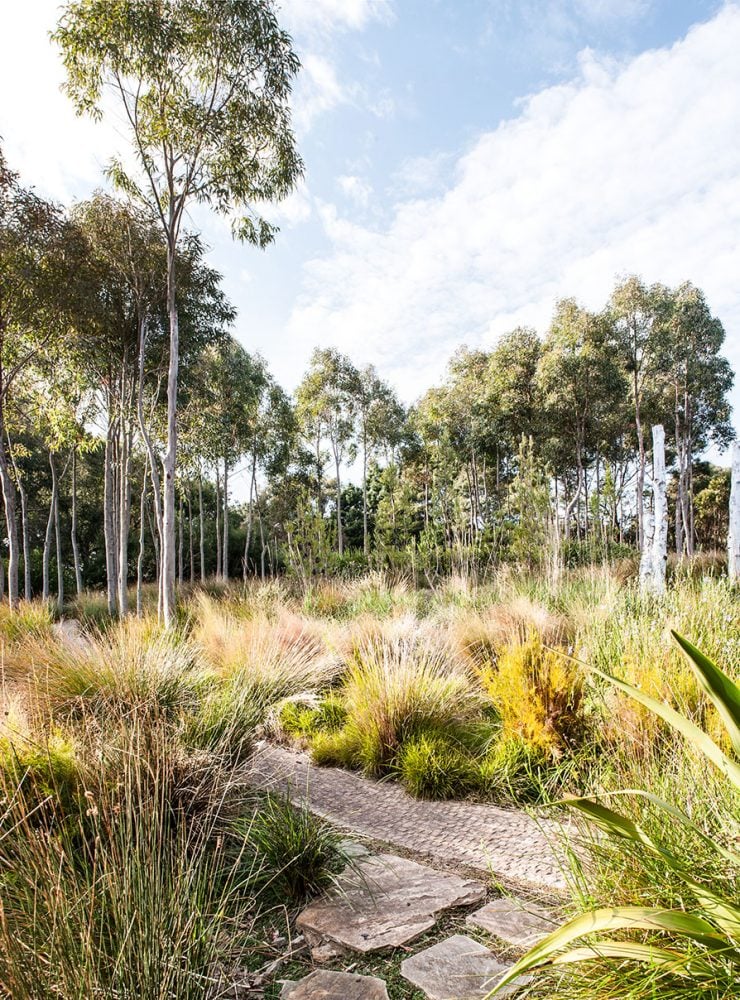 austalian native landscape gardeners sanctuary