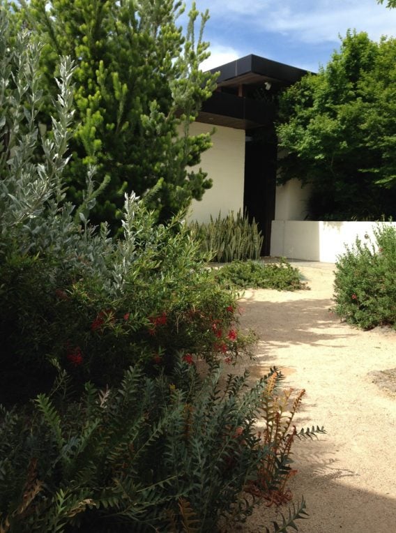 cameron patersons australian garden walkway