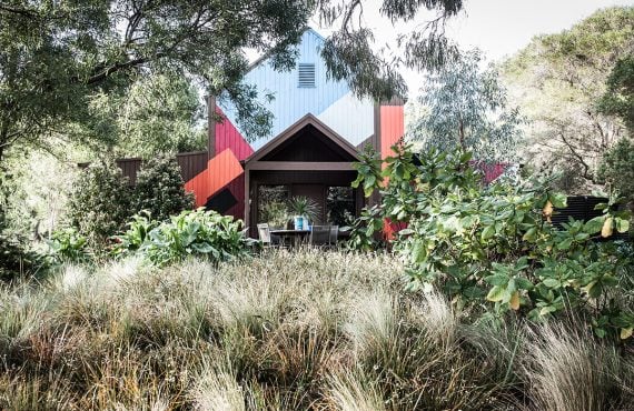 small native shrubs surrounding modern house
