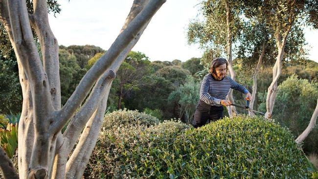 3da6090f2774095cc7699f3970479e91