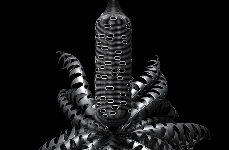 banksia grandis 02 extended