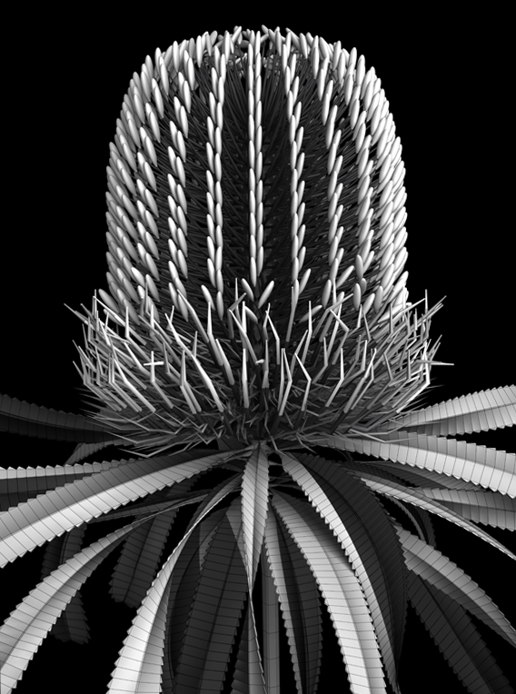 banksia module 08 original