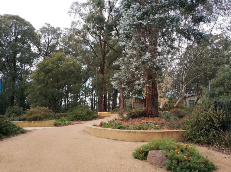 karwarra australian plant garden 06