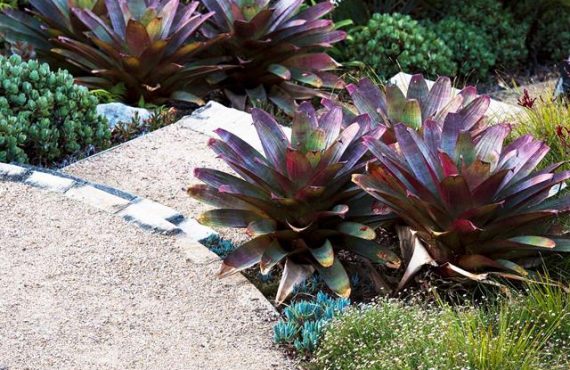 hugh burnett landsc architect1