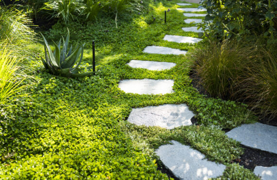 composed garden 7