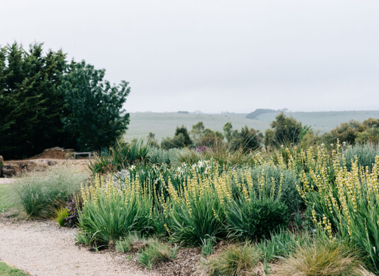 km landscape design high res 177