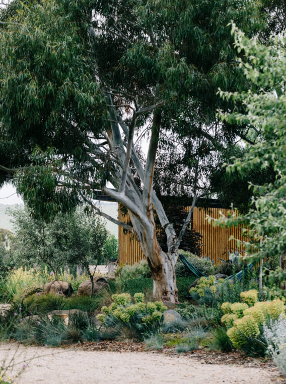 km landscape design high res 212