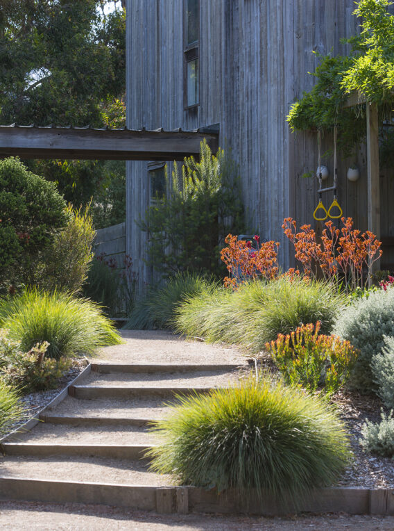 previous home garden