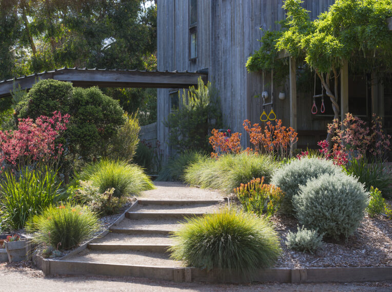 previous home garden