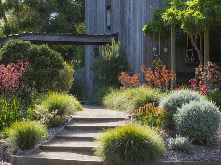 previous home garden 882x552 1 optimized 882x552 1