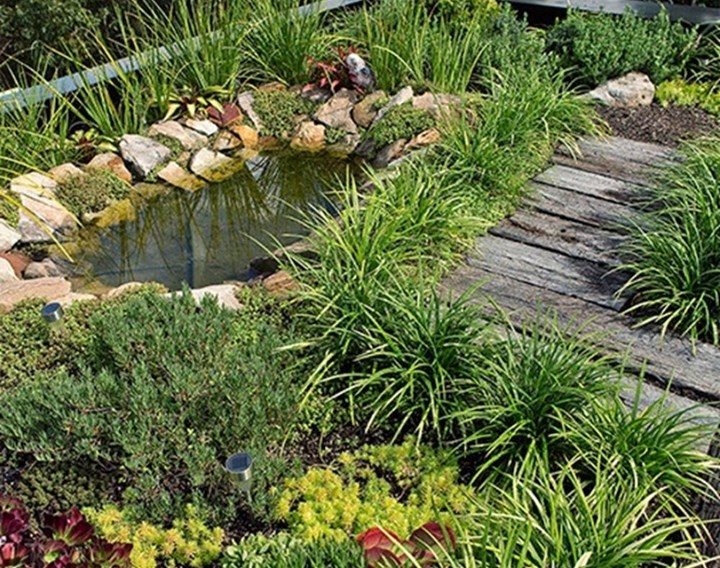 small gardens13 2