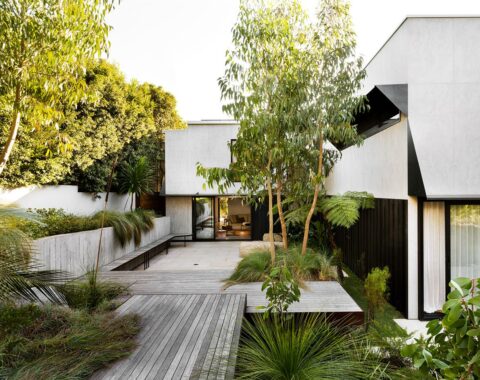 Central Coast Garden Article Image 1