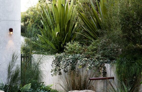 Central Coast Garden Article Image 3