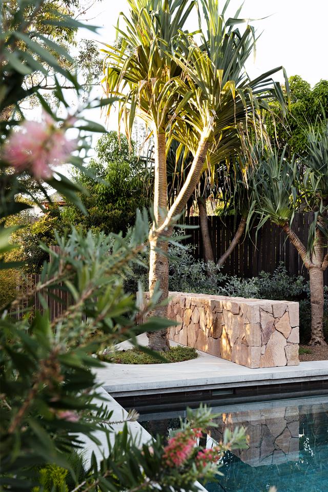 Central Coast Garden Article Image 5