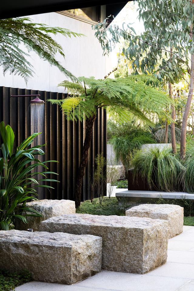 Central Coast Garden Article Image 7