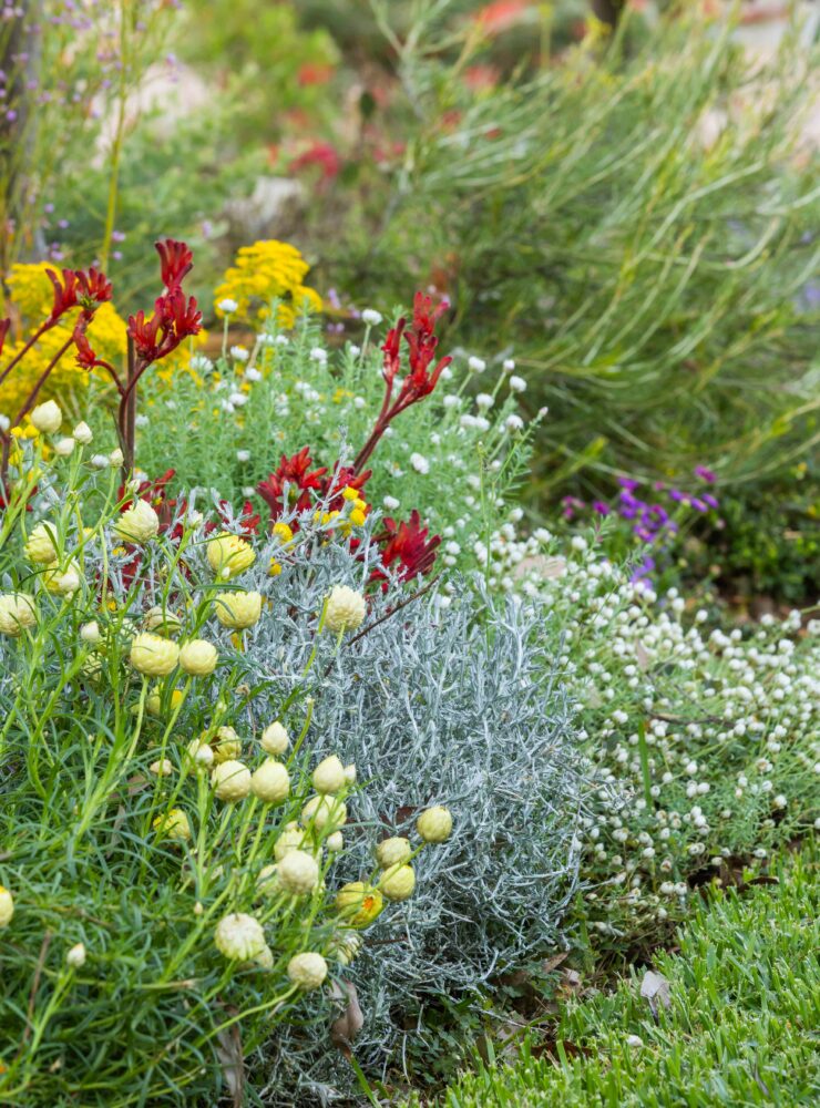 JASON MATHERS GARDEN P4A5948