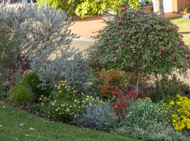 JASON MATHERS GARDEN P4A6043